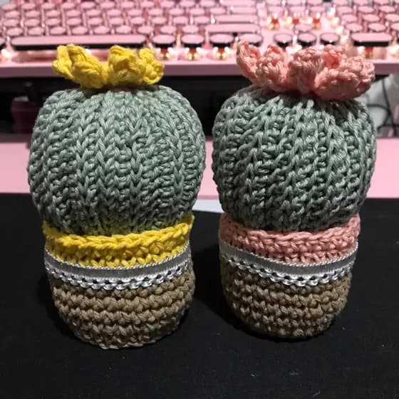 Cactos Amigurumi vasinhos de crochê