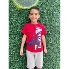 Blusas Infantil Masculina Algodão Menino Estampadas Kit Promoção Sortido