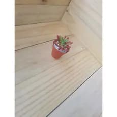 Suculenta planta artificial vaso decorativo robert vasinho marrom
