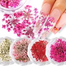 Flores Secas Para Decoração E Unha Encapsulada 12 Unidades