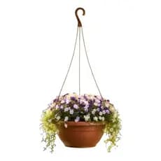 Kit 12 Vasos Cuia Pendente 6,6 L 31cm Grande com Alça Flores Rosa do Deserto Suculentas