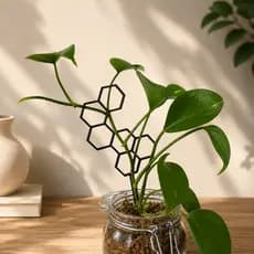 Treliça para plantas / Suporte para plantas /Decoração Minimalista/Jardim Plantinhas organizador de folhagem moderno