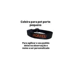 coleira pra pet identificação personalizada