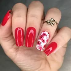 Adesivo de unha flores vermelha cartela com 12 adesivos FRL - 026 Adesivos,películas,unhas,nails art,unhas decoradas