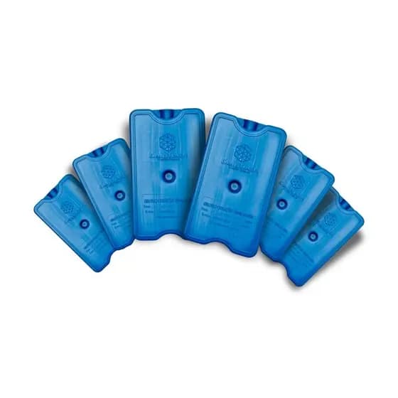 Kit com 6 Gelos gel reutilizável artificial cooler