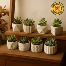 Kit 8 Unidades Vaso Decorativo de Gesso Texturizado Para Suculentas, Cactus e Plantas Artificiais ou Naturais cor Branco