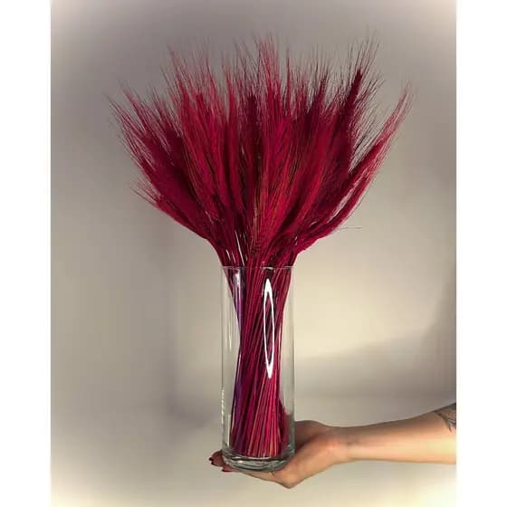 Arranjo Trigo Vaso Vidro + Trigo Desidratado Várias Cores