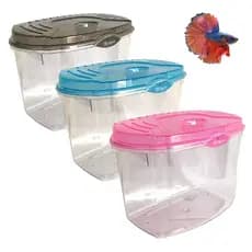 Beteira Aquário Plástico para Betta 4,2L Pequeno