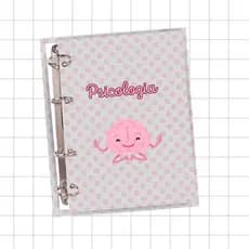 PLANNER AGENDA PSICOLOGIA PSICÓLOGO PERSONALIZADO  2025 FICHÁRIO ARGOLADO A5 100 Folhas- FICHÁRIO FOFO ENCANTADOR