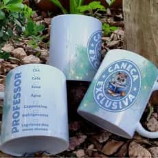 Caneca dia do professor - professora presente Envio no mesmo dia