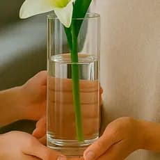 Vaso Vidro Boca 10 Cilindro Tubo Casamento Mesa Adorno Bambu Porta Rolha Decorativo Clean