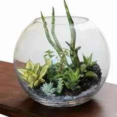Vaso Terrário Redondo 3 Litros Transparente  Aquário Vidro Decoração Plantas Orquídea