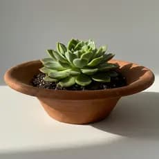 Vaso Rustico de Barro Cerâmico Artesanal Rustico Suculenta Orquídea Decoração Flores Jardim