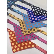Coleira Bandana Cachorro e gato  - Porte Médio - Coleira Cachorro PRODUTO A PRONTO ENTREGA!