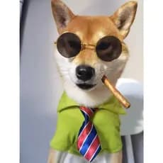 Gravata Social Estampada ajustável para Pet  Cães cachorro Banho e Tosa