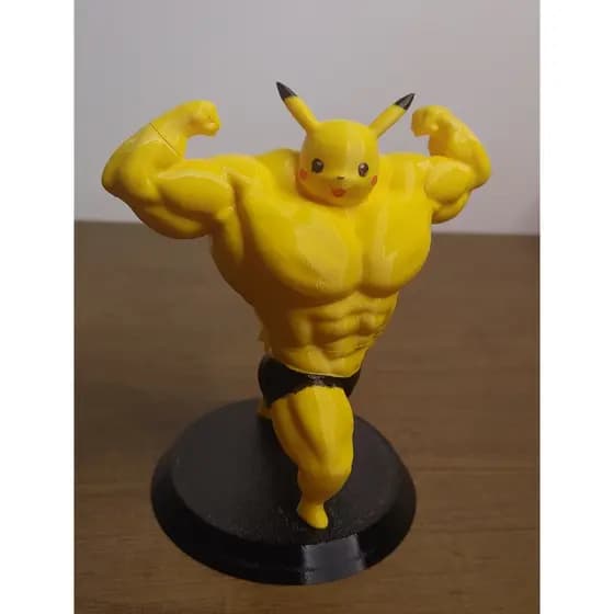 Pokemon Picachu maromba academia