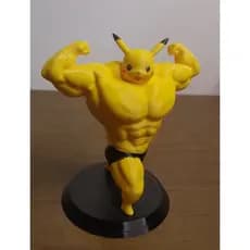 Pokemon Picachu maromba academia