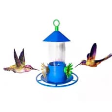 Bebedouro Para Beija Flor Pássaros 200ml Poleiro Chapéu
