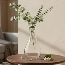 Vaso Decorativo De Vidro 680ml Para Flores Plantas Arranjos + Brinde