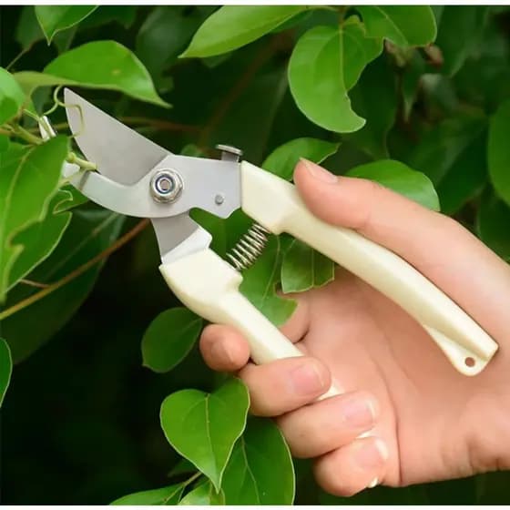 Tesoura 17,5cm Alicate De Poda E Cortar Cabo De Plástico Ponta De Metal Para Jardim Jardinagem Plantas Galhos E Folhas