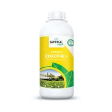 Adubo Foliar Enxofre Concentrado Fertilizante - 1 L- Fungicida, Acaricida.
