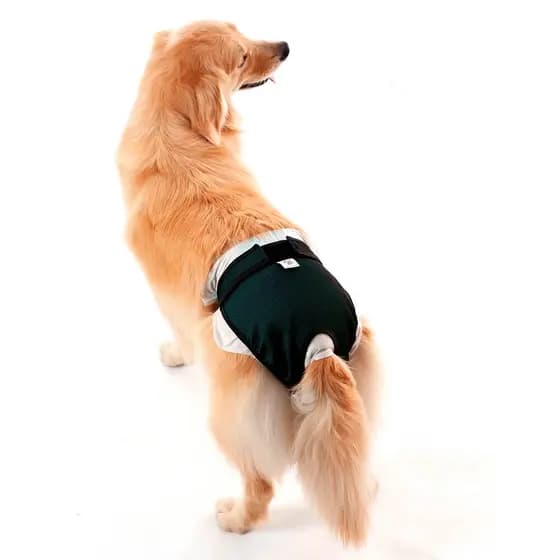 Protetor Higiênico P/ Fralda E Cio Cão Reutilizável N° 7 - Verde