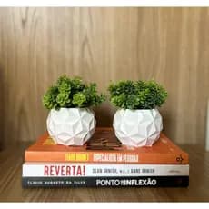 Kit de Vasos Cachepot Vasinho Sala Decoração Delicada Com Plantinhas Artificiais