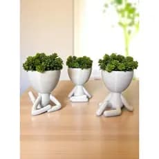 Kit 3 Vasos Robert Plant Com Plantas Artificiais Inclusas Salas Quartos Escritórios Cozinha Nichos