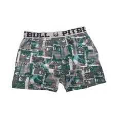 Cueca Juvenil Boxer Estampada Cinza Verde Poliéster Pitbull