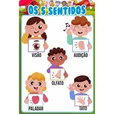 Banner Escolar 5 SENTIDOS Educação Infantil Alfabetização