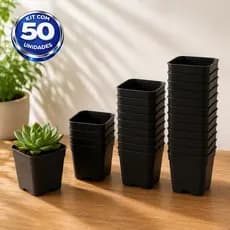 Kit 50 Vasinhos para Suculenta Mini Plantas Vaso Pequeno Muda Flores Mudinha Lembrancinha