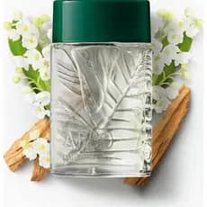 Boticário Perfume Arbo Clássico, 100ml