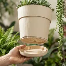 Kit Vasos Jardinagem 1,8 Litros Com Prato Acoplado Jardinagem Jardineiras Floreiras