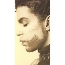 Vhs Prince The Video Collection lacrado