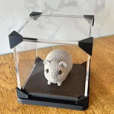🧶 Porquinho-da-Índia em 3D – com redoma de acrilico exclusiva simula o efeito do tricot