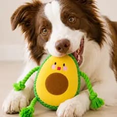 Abacate de Pelúcia para Pet Brinquedo com Cordas e Apito Interativo para Cães