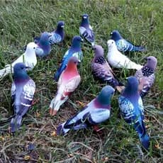 [Viocee] 1x Pombo Pombas Artificiais Simulação Pássaros Penas Modelo Casa Ornamentos Decoração 1 Peça