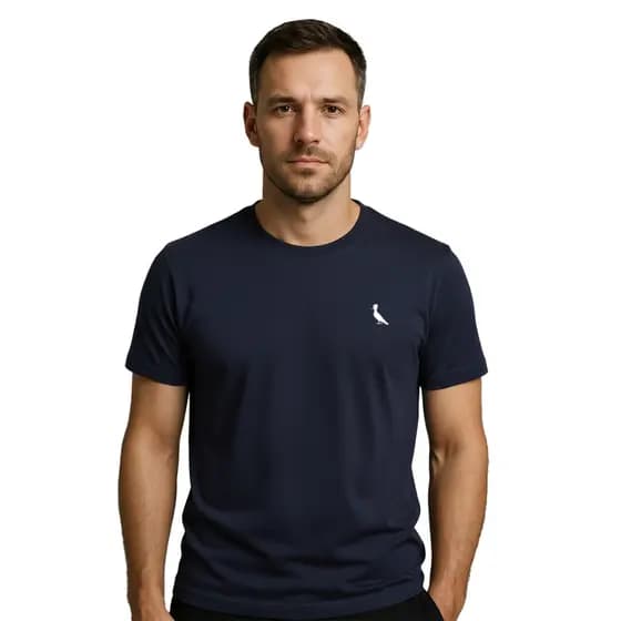 Camiseta Masculina Premium 100% Algodão Varias Cores Para o Dia a Dia Promoção