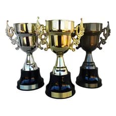 Kit Taça Trofeu Premiação Completa Auto Relevo Futebol Novo