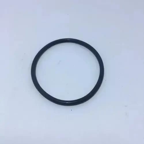 Oring Vedação Resistência Aquecedor Versátil Lorenzetti - Ref. 8073 - Original Lorenzetti