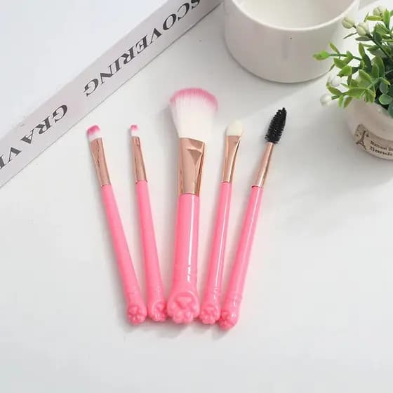 5pcs Kit de pincéis de cosméticos Pó Blush Brush Kit de pincéis de maquiagem de beleza