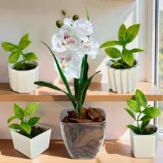 Kit Vasos 2 Decorações com Plantinhas Artificiais | Vaso Médio em Acrílico + 4 Mini Vasos em Plástico para Decorar