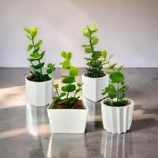 Kit 4 Vasos com Musgo Verde - Enfeite de Mesa ou Prateleira