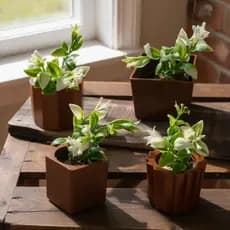 Kit - 4 Vasos Pequenos Decorativos com Plantas Artificiais | Decoração Sala, Escritório, Home Office