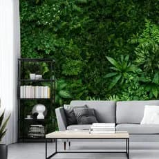 Papel de Parede Mural Folhagens Verdejantes Em Cores Vivas