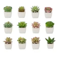 Kit 12 Vasinhos Decorativos Mini Suculentas Artificiais Decoração Prateleira Estante Mesa Enfeite