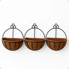 3 Vaso De Fibra De Coco Para Parede Plantas Orquídea Natural