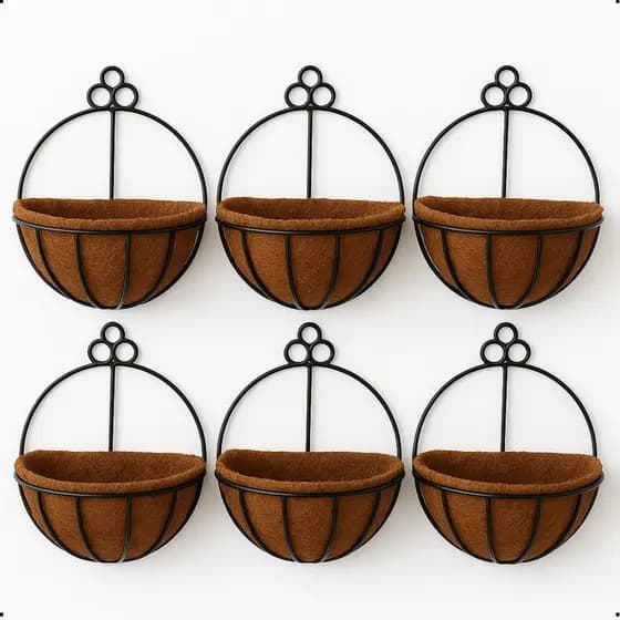 6 Vaso De Fibra De Coco Para Parede Plantas Orquídea Natural