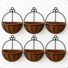 6 Vaso De Fibra De Coco Para Parede Plantas Orquídea Natural