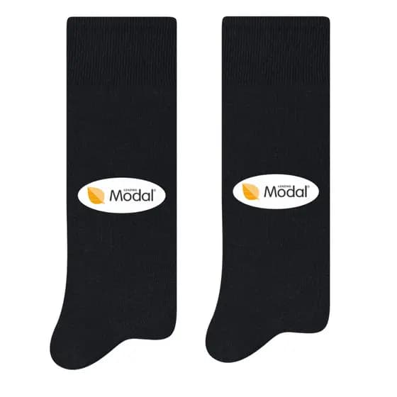 Kit 2 Pares Meias Social Masculina Tecido Modal Selene 8350